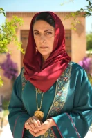 Постер из сериала Преемник: зов предков